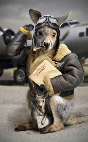 Kangaroo Pilots by Jan Eric
